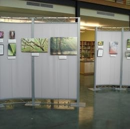 Temporary structure divider walls with high resolution cable-hung graphics installed by Holt Environments
